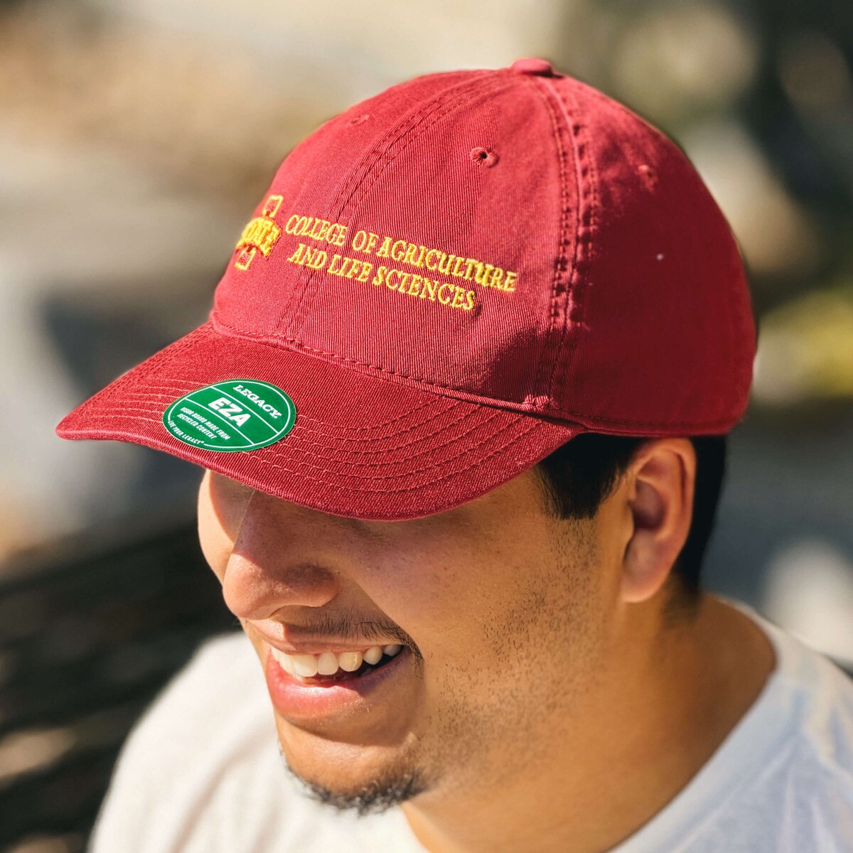 Legacy I-State Cardinal College of Agriculture and Life Sciences Adjustable Hat